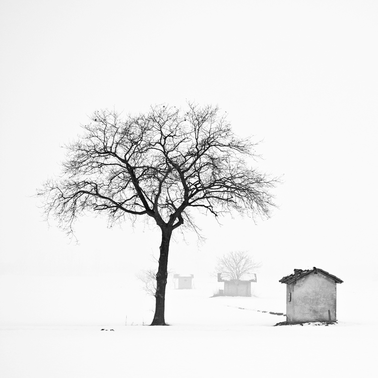 something in the nothing