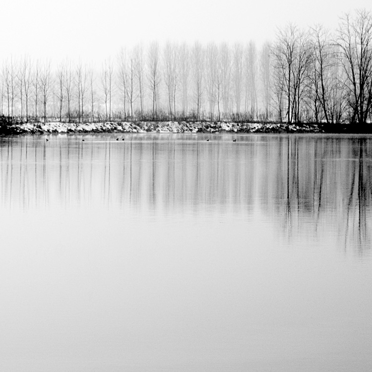 something in the nothing