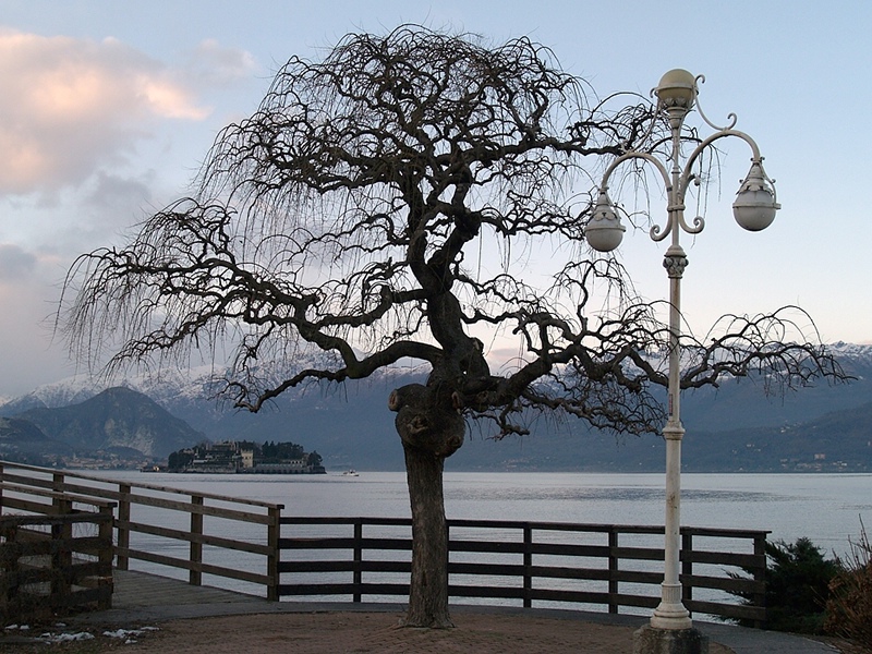 Lago Maggiore - Stresa