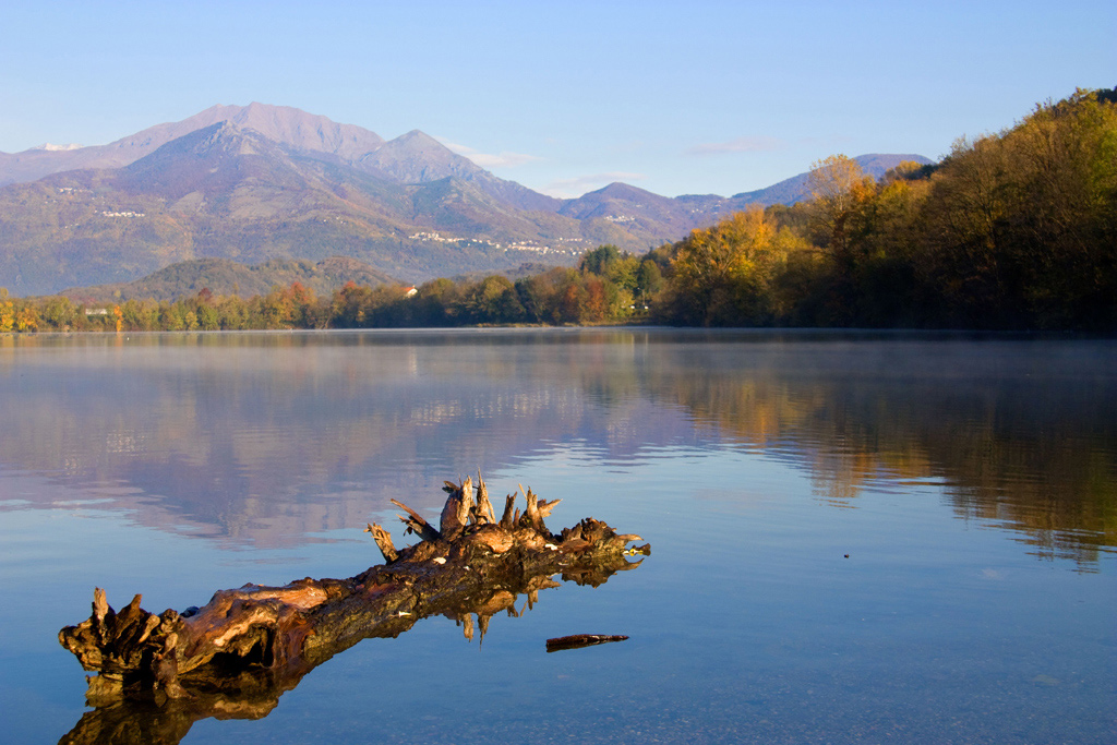Il tronco nell'acqua