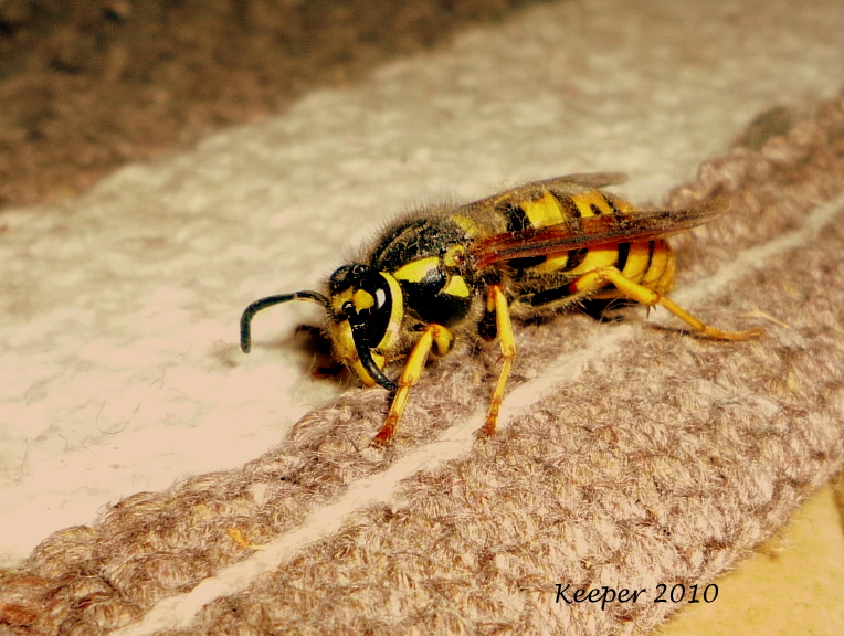 It's not time yet...