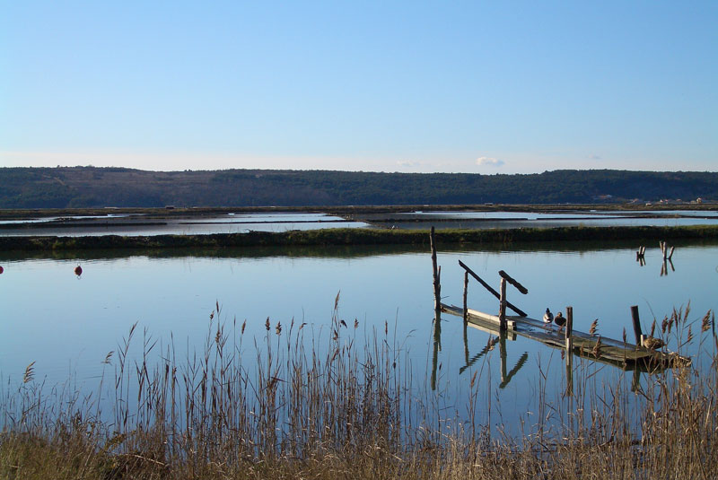 Le saline