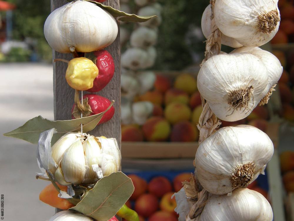 Garlic