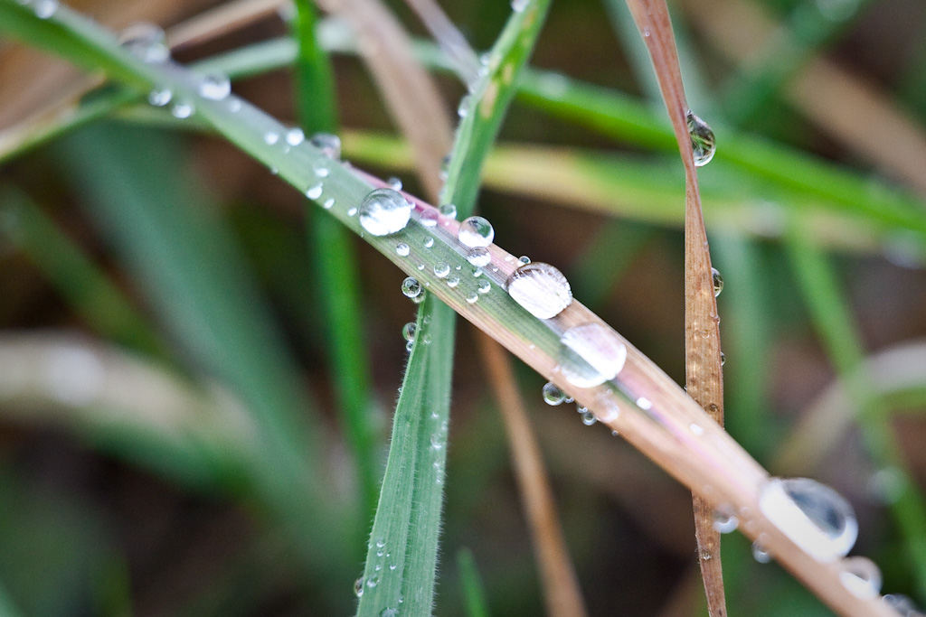 Percorsi delle goccioline