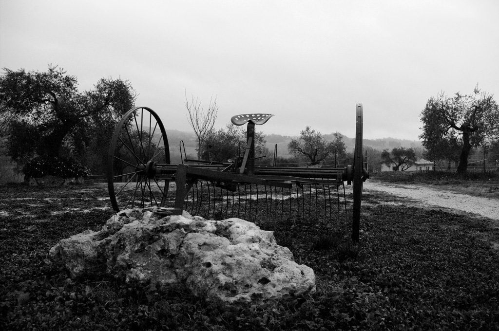 Parcheggiato per sempre