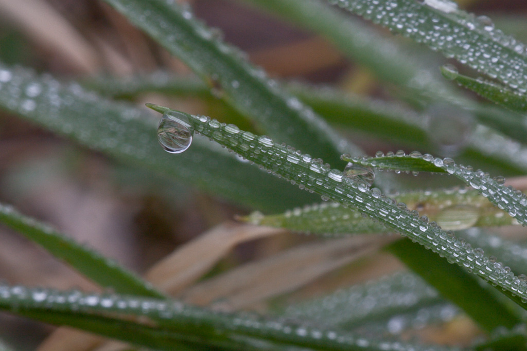Percorsi delle goccioline- seconda prova