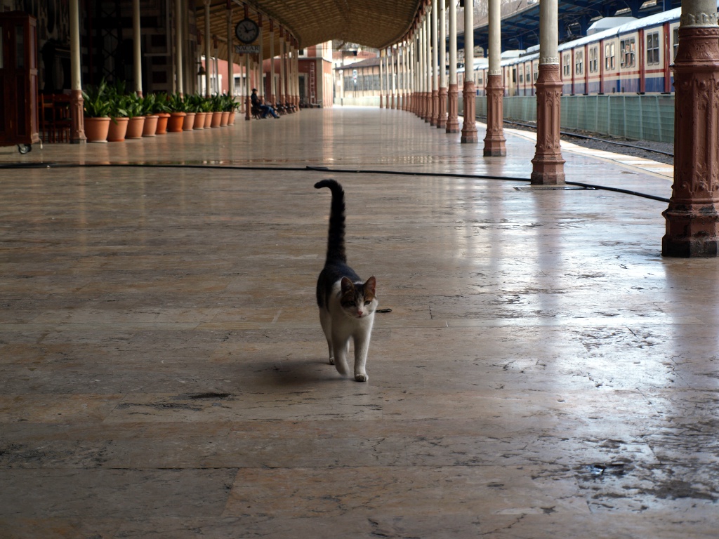 L'orient express � mio!!