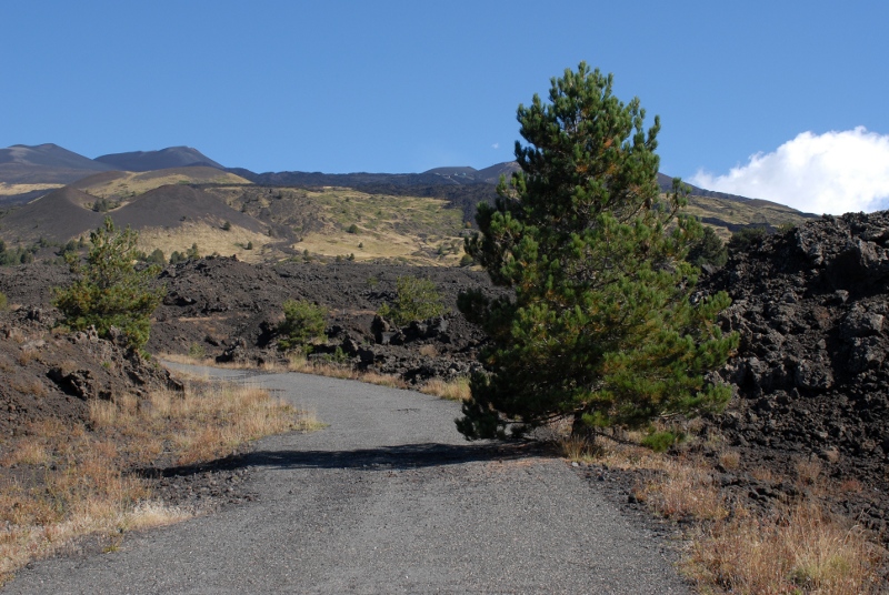 Monte nero degli Zappini ( Etna )