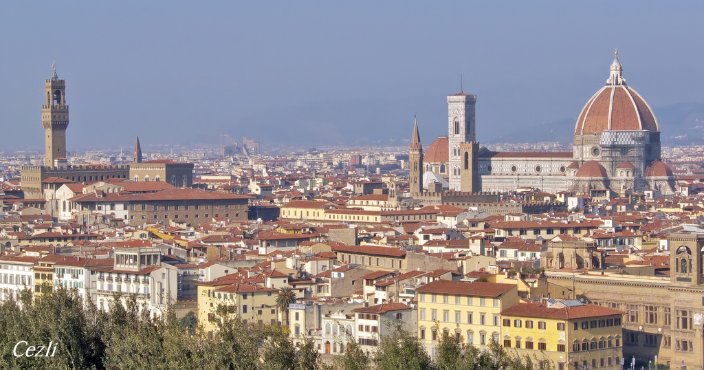 la mi mandi un bacione a Firenze!