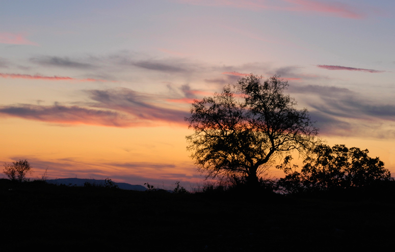 Pesaggio al tramonto