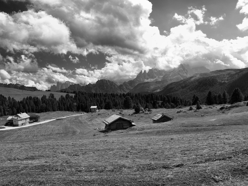 mi sa che vien brutto