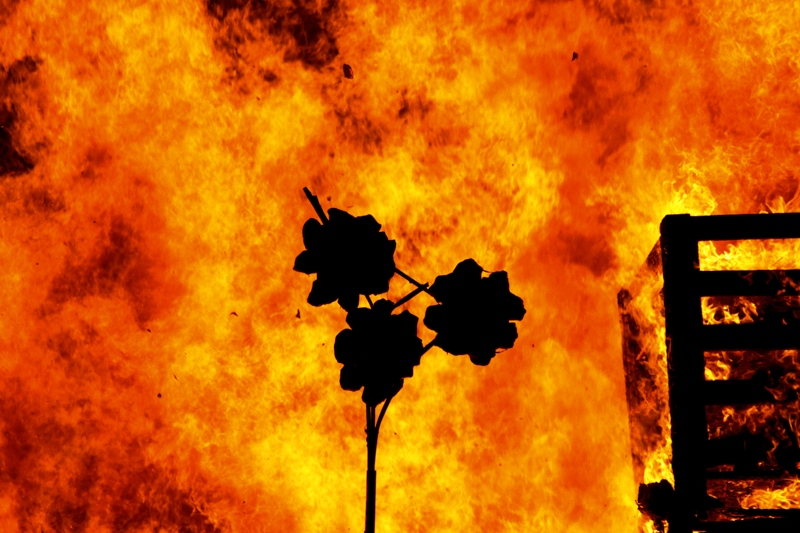 le tre rose del fal� del Tosi