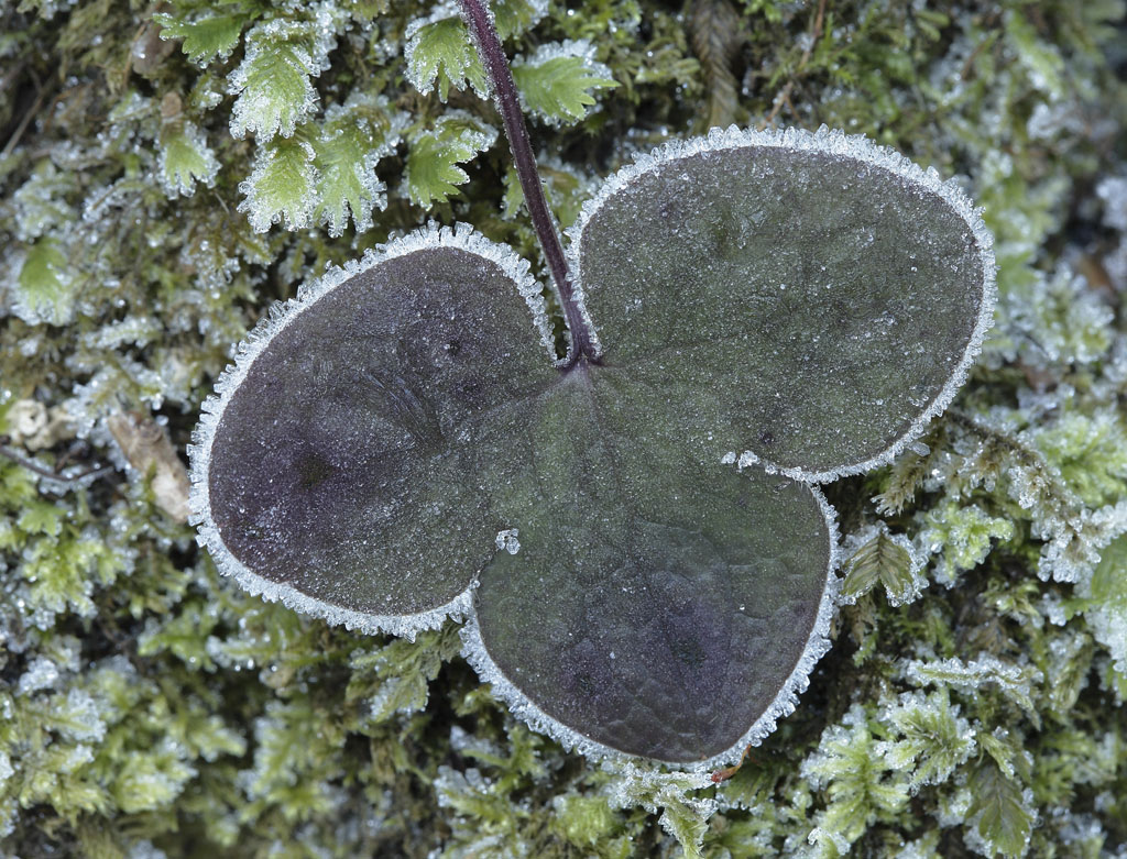 esercizi d'inverno_1