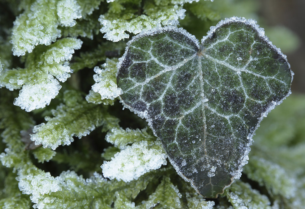 esercizi d'inverno_2