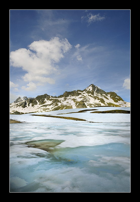In alto vola l,aquila