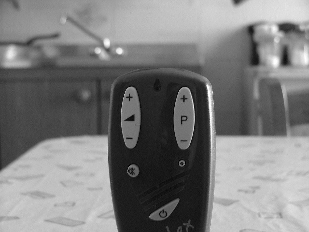 Macro...telecomando...ma adesso in bianco e nero