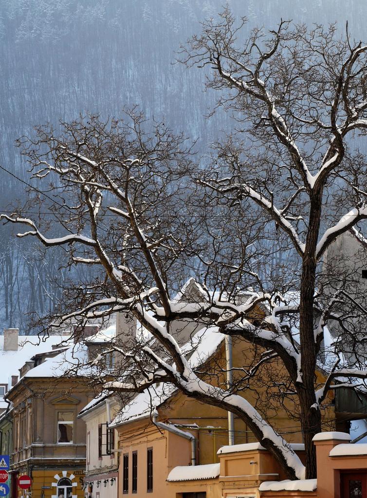 Brasov - Transilvania (Romania)