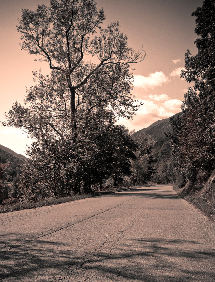 Fermo sul bordo della strada.......