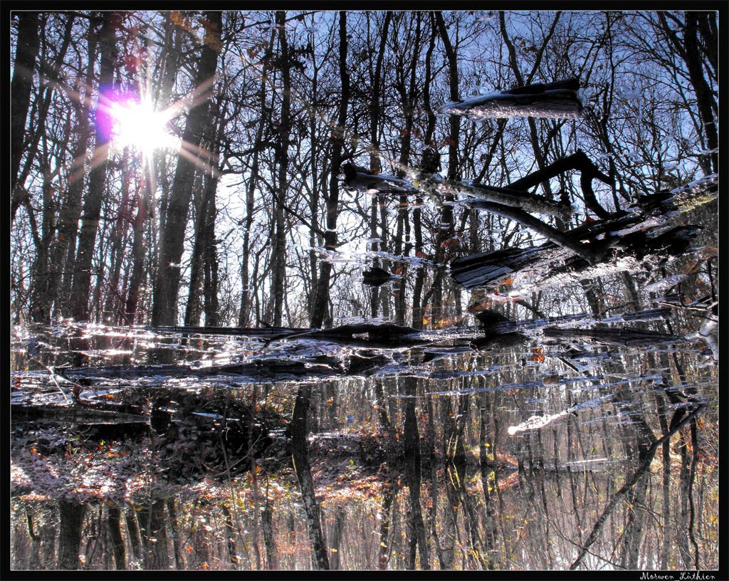 rflesso di luce.. illusione ottica