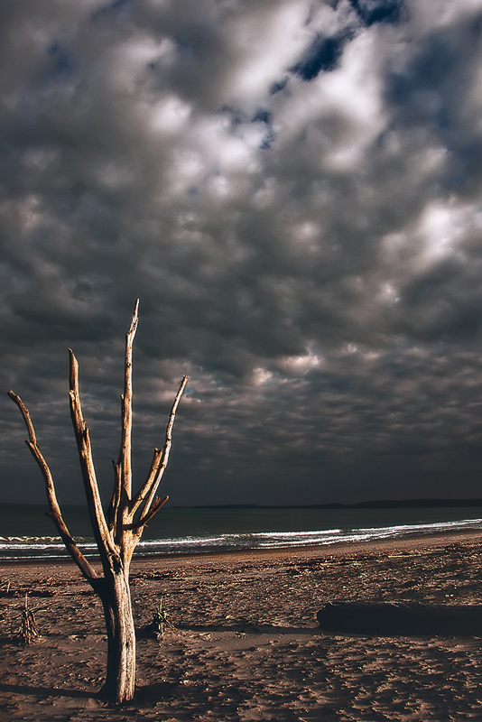 Composizione semplice