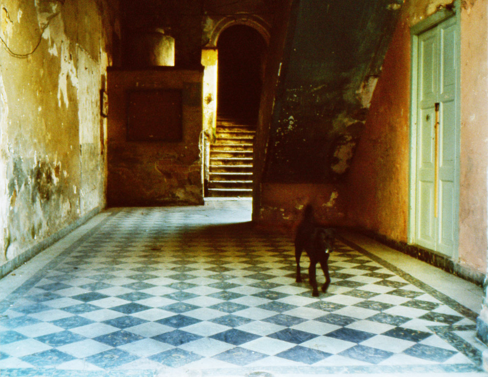 La solitudine dei vecchi palazzi..