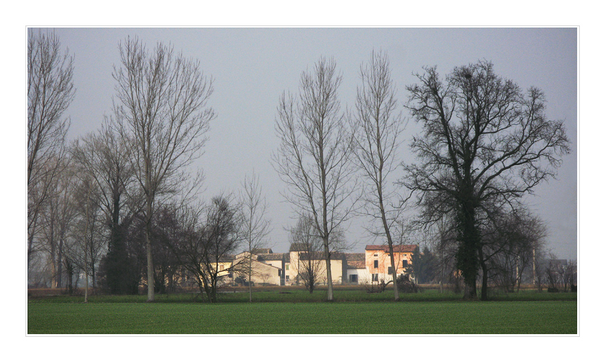 Primo pomeriggio di fine gennaio.