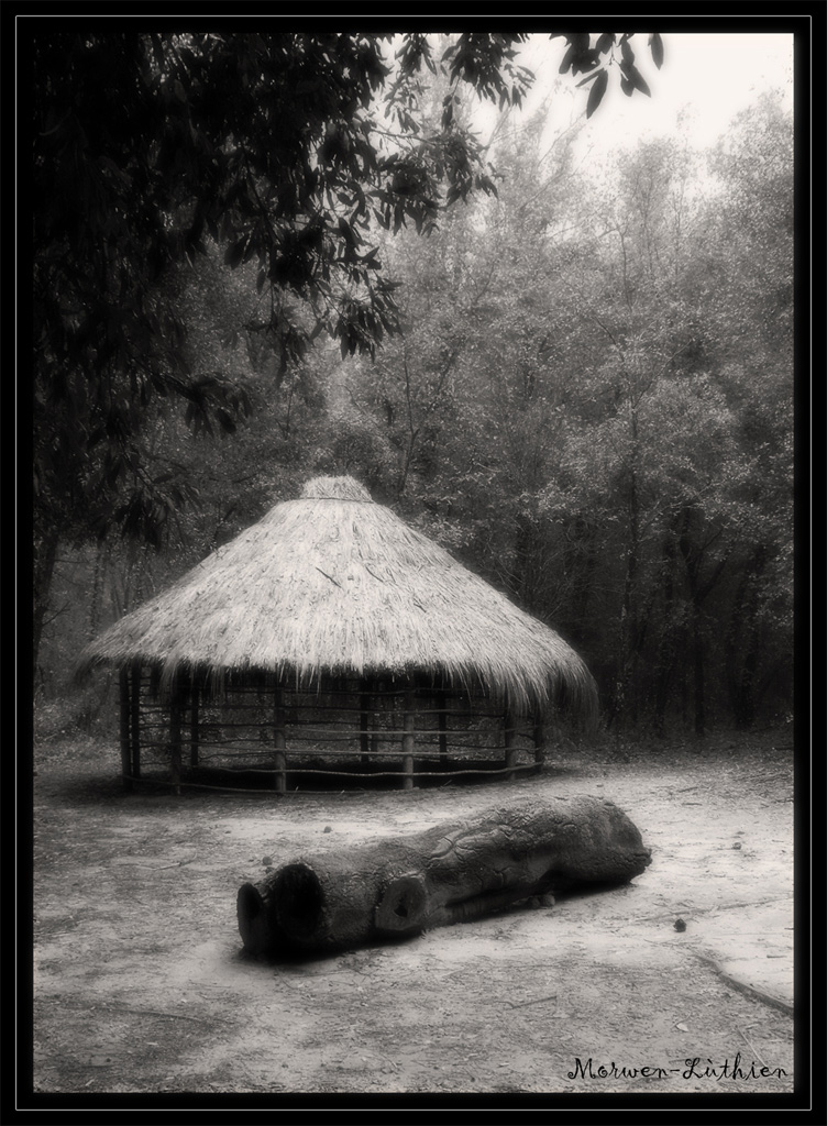 capanna solitaria...