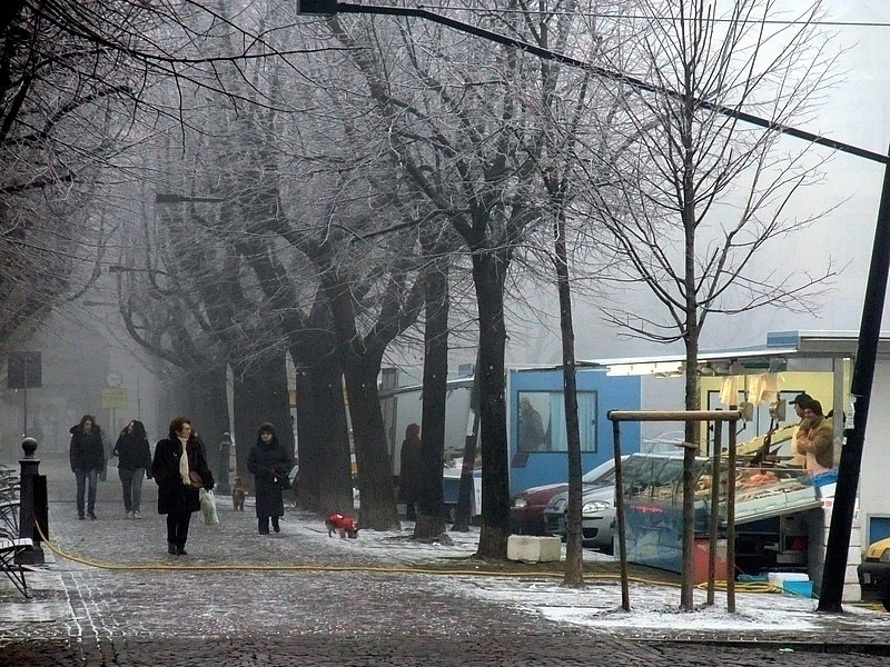 Al mercato, di prima mattina