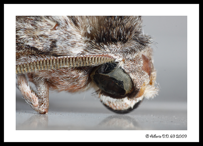 ...quel che resta...