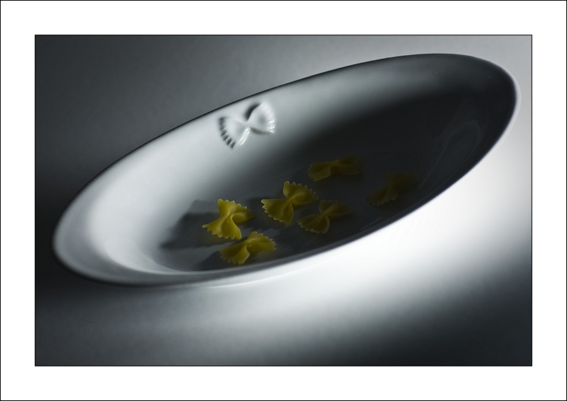 Farfalle invernali.....