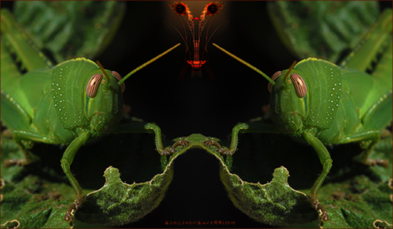 le guardiane della porta