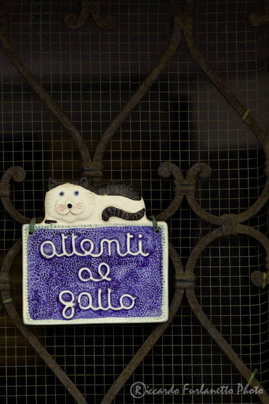 Attenti al gatto