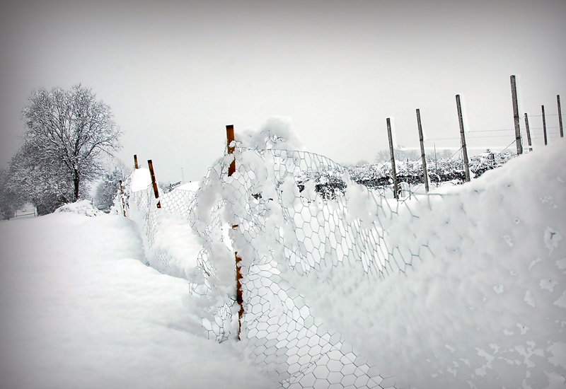 soft..................snow