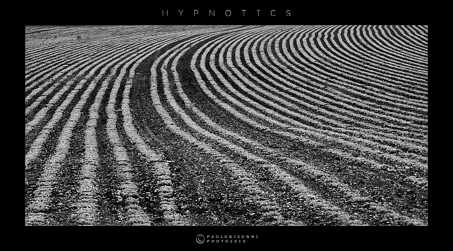 Hypnotics