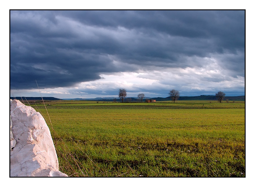 ...PIOGGIA IN ARRIVO...