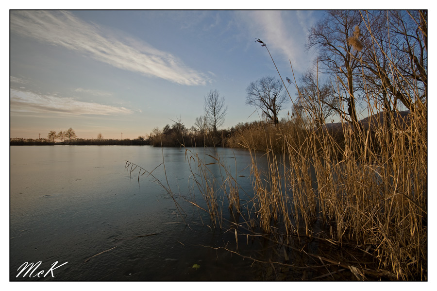 Il verso della carpa!