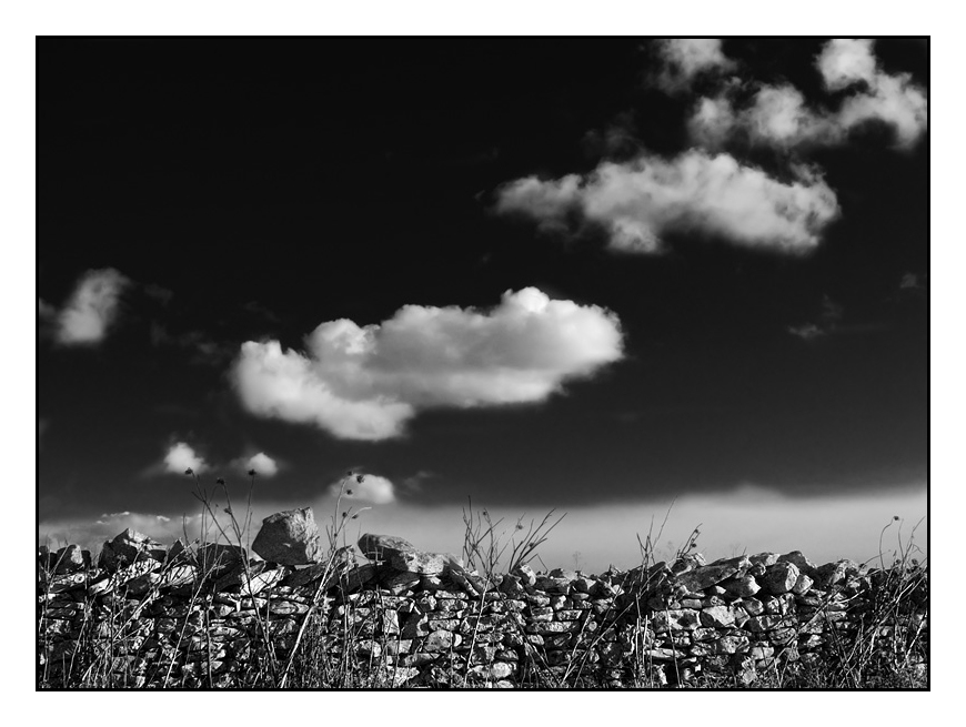 ...OLTRE LA SIEPE...