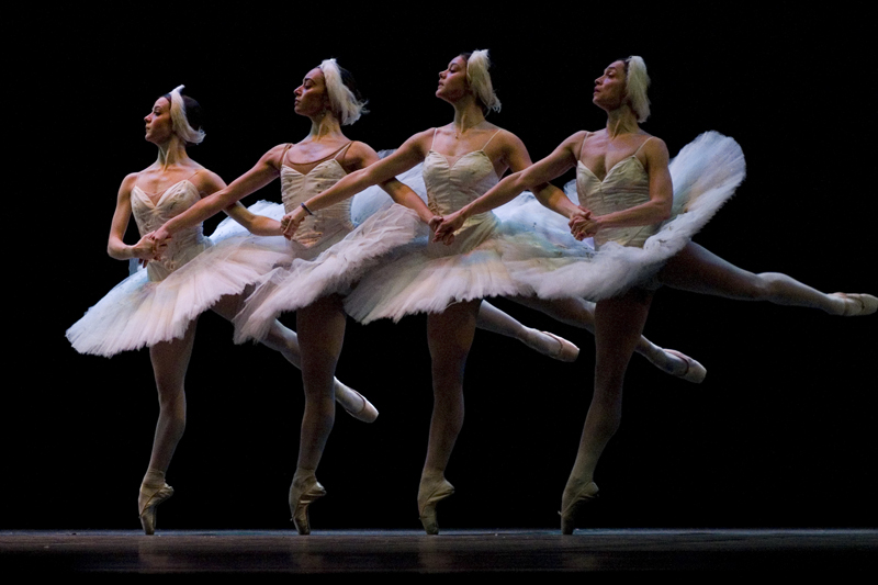 Dance of little swans