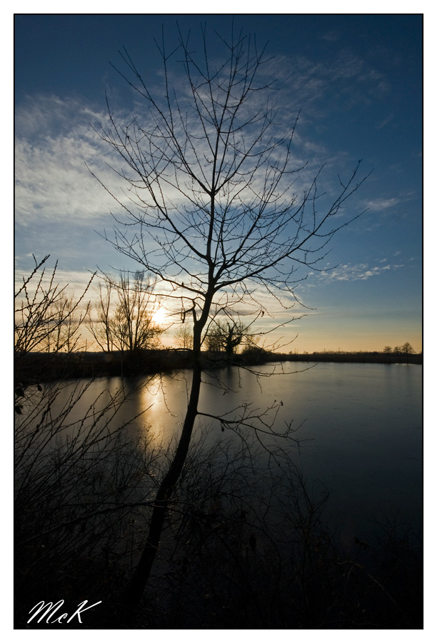 Il verso della carpa!3