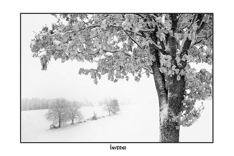 inverno