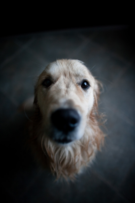 Il mio Cucciolone....