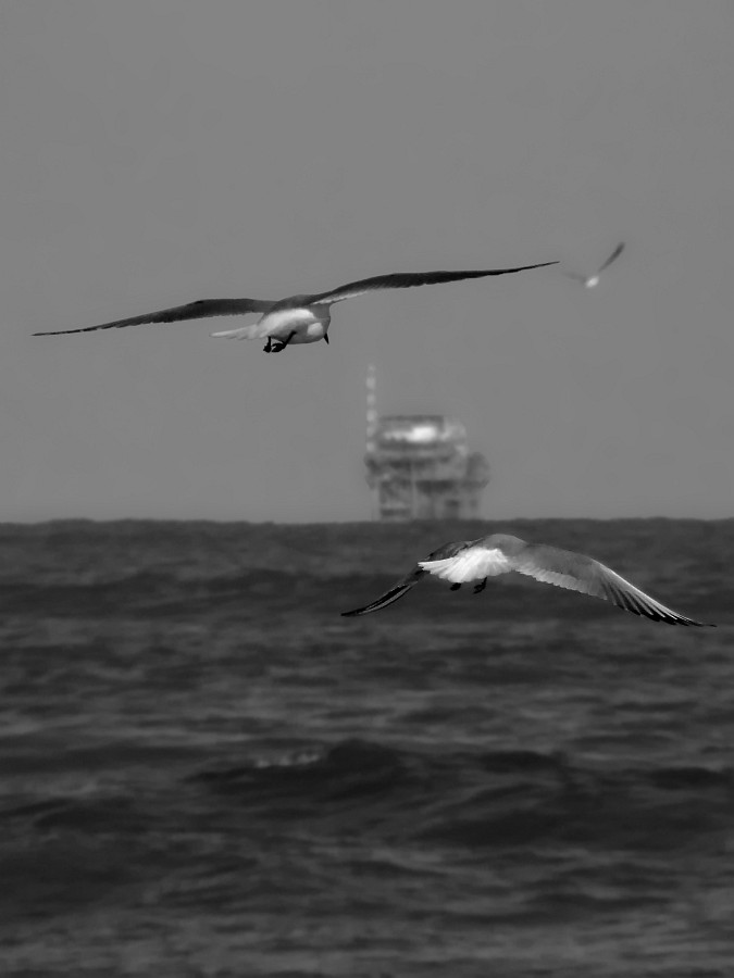 Verso un ignoto progresso