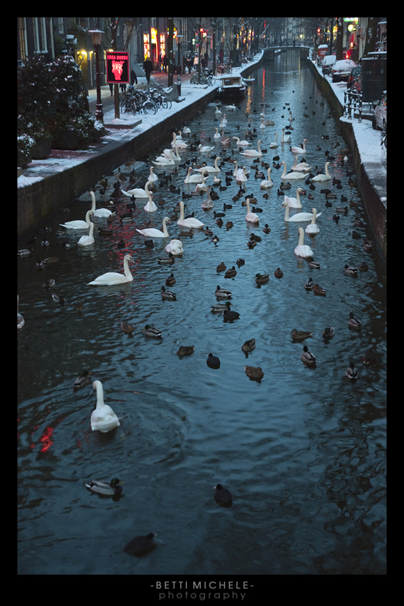 amsterdam - riunione di condominio
