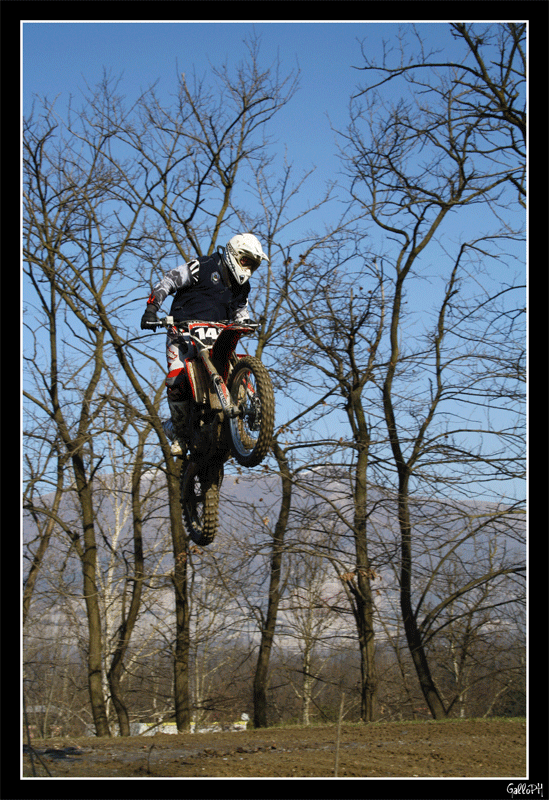 una Preda nella ragnatela..