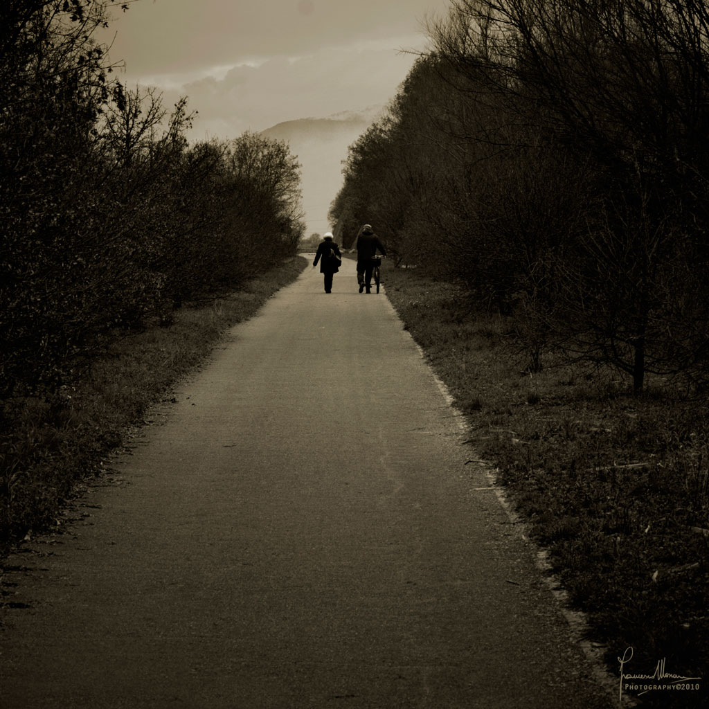 Passeggiando in bicicletta
