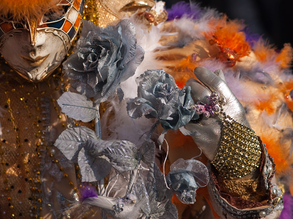 Colori del carnevale (Venezia)