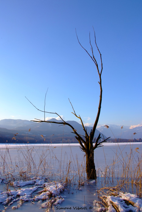 Letteralmente congelato!