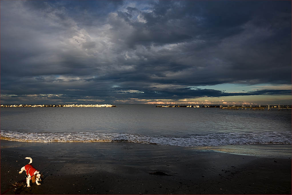 ........ OPSS.......