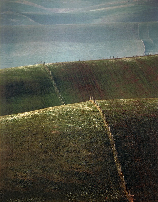 Altopiano di Asiago....gobbe