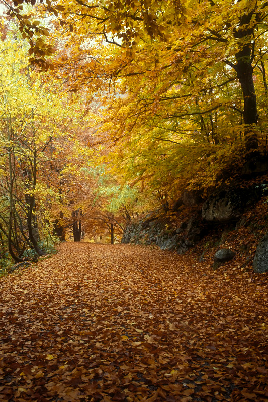 AUTUNNO A SAN GIACOMO